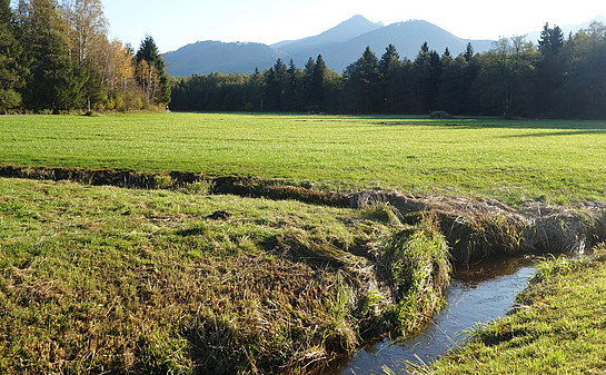 Wiesen auf Niedermoor am Rottbach/Kendlmühlfilzen