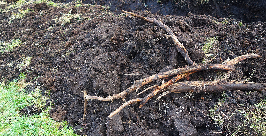 Torfaushub bei Grabenräumung am Rand einer kultivierten Moorfläche